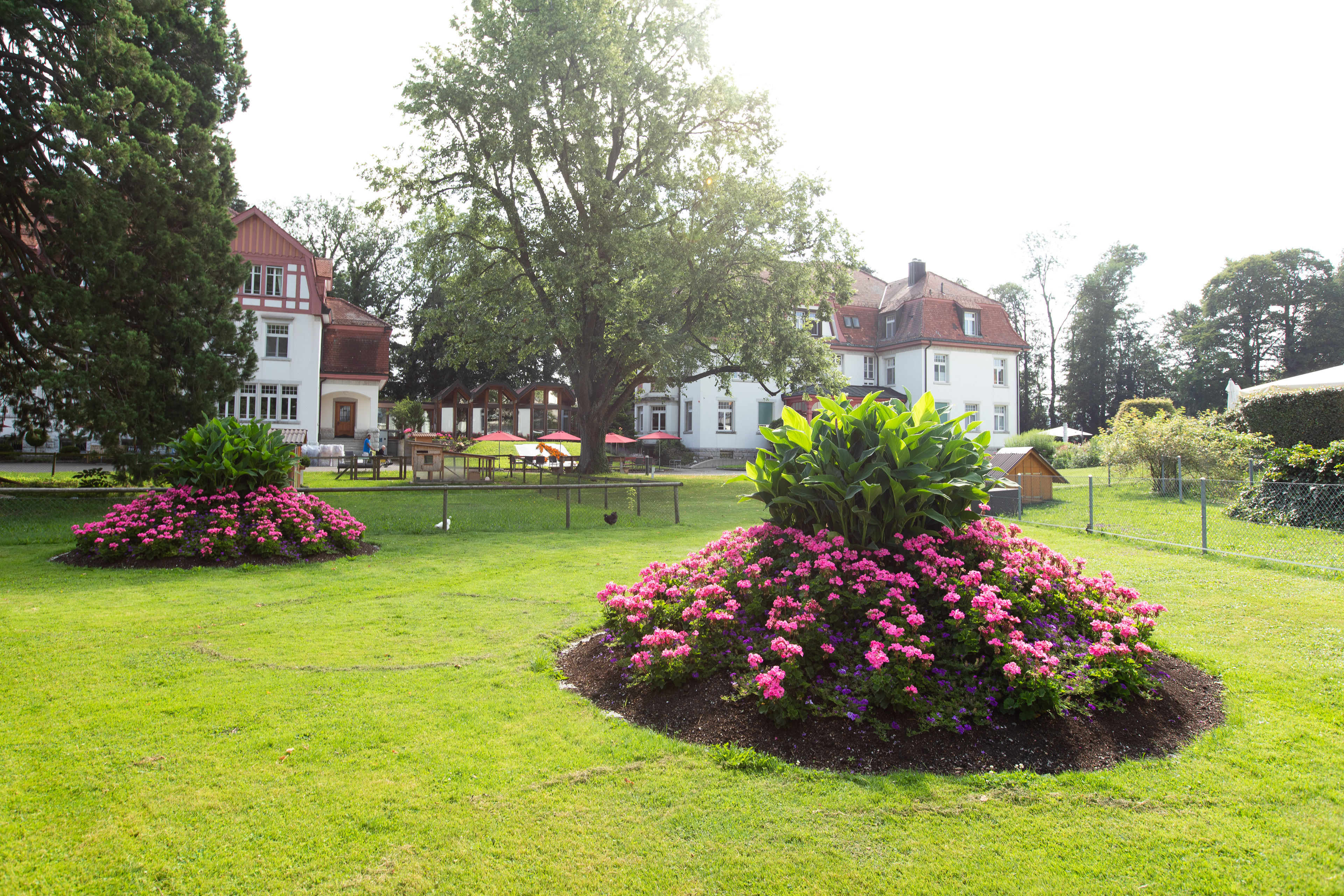 Blumenhochbeet im Garten